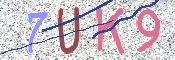 CAPTCHA (Şahıs Denetim Kodu) Resmi