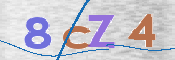 CAPTCHA (Şahıs Denetim Kodu) Resmi