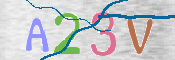 CAPTCHA (Şahıs Denetim Kodu) Resmi