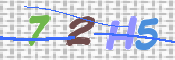 CAPTCHA (Şahıs Denetim Kodu) Resmi