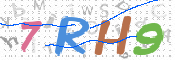 CAPTCHA (Şahıs Denetim Kodu) Resmi