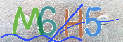 CAPTCHA (Şahıs Denetim Kodu) Resmi