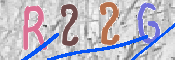CAPTCHA (Şahıs Denetim Kodu) Resmi