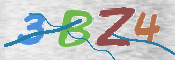CAPTCHA (Şahıs Denetim Kodu) Resmi