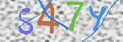 CAPTCHA (Şahıs Denetim Kodu) Resmi