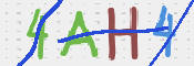 CAPTCHA (Şahıs Denetim Kodu) Resmi