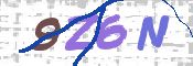 CAPTCHA (Şahıs Denetim Kodu) Resmi