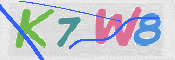 CAPTCHA (Şahıs Denetim Kodu) Resmi
