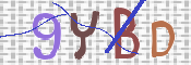 CAPTCHA (Şahıs Denetim Kodu) Resmi
