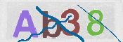 CAPTCHA (Şahıs Denetim Kodu) Resmi