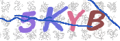 CAPTCHA (Şahıs Denetim Kodu) Resmi