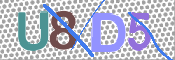 CAPTCHA (Şahıs Denetim Kodu) Resmi