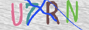 CAPTCHA (Şahıs Denetim Kodu) Resmi