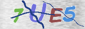 CAPTCHA (Şahıs Denetim Kodu) Resmi