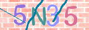 CAPTCHA (Şahıs Denetim Kodu) Resmi