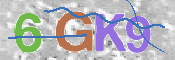 CAPTCHA (Şahıs Denetim Kodu) Resmi