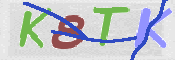 CAPTCHA (Şahıs Denetim Kodu) Resmi