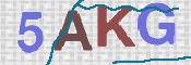CAPTCHA (Şahıs Denetim Kodu) Resmi