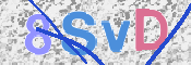CAPTCHA (Şahıs Denetim Kodu) Resmi