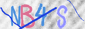 CAPTCHA (Şahıs Denetim Kodu) Resmi