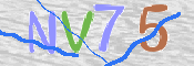 CAPTCHA (Şahıs Denetim Kodu) Resmi