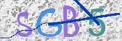CAPTCHA (Şahıs Denetim Kodu) Resmi