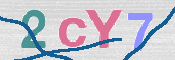 CAPTCHA (Şahıs Denetim Kodu) Resmi