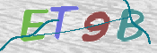 CAPTCHA (Şahıs Denetim Kodu) Resmi