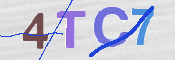 CAPTCHA (Şahıs Denetim Kodu) Resmi