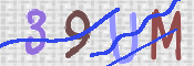 CAPTCHA (Şahıs Denetim Kodu) Resmi