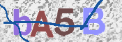 CAPTCHA (Şahıs Denetim Kodu) Resmi