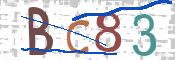 CAPTCHA (Şahıs Denetim Kodu) Resmi