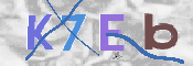 CAPTCHA (Şahıs Denetim Kodu) Resmi