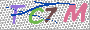 CAPTCHA (Şahıs Denetim Kodu) Resmi