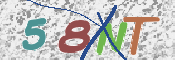 CAPTCHA (Şahıs Denetim Kodu) Resmi