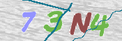 CAPTCHA (Şahıs Denetim Kodu) Resmi