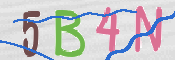 CAPTCHA (Şahıs Denetim Kodu) Resmi