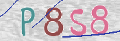 CAPTCHA (Şahıs Denetim Kodu) Resmi