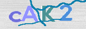 CAPTCHA (Şahıs Denetim Kodu) Resmi
