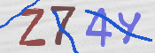 CAPTCHA (Şahıs Denetim Kodu) Resmi