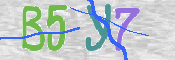 CAPTCHA (Şahıs Denetim Kodu) Resmi