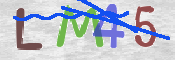 CAPTCHA (Şahıs Denetim Kodu) Resmi