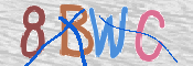 CAPTCHA (Şahıs Denetim Kodu) Resmi