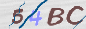 CAPTCHA (Şahıs Denetim Kodu) Resmi