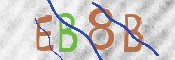 CAPTCHA (Şahıs Denetim Kodu) Resmi