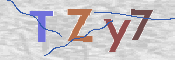 CAPTCHA (Şahıs Denetim Kodu) Resmi