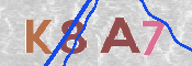 CAPTCHA (Şahıs Denetim Kodu) Resmi