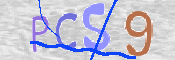 CAPTCHA (Şahıs Denetim Kodu) Resmi