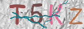 CAPTCHA (Şahıs Denetim Kodu) Resmi