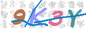 CAPTCHA (Şahıs Denetim Kodu) Resmi